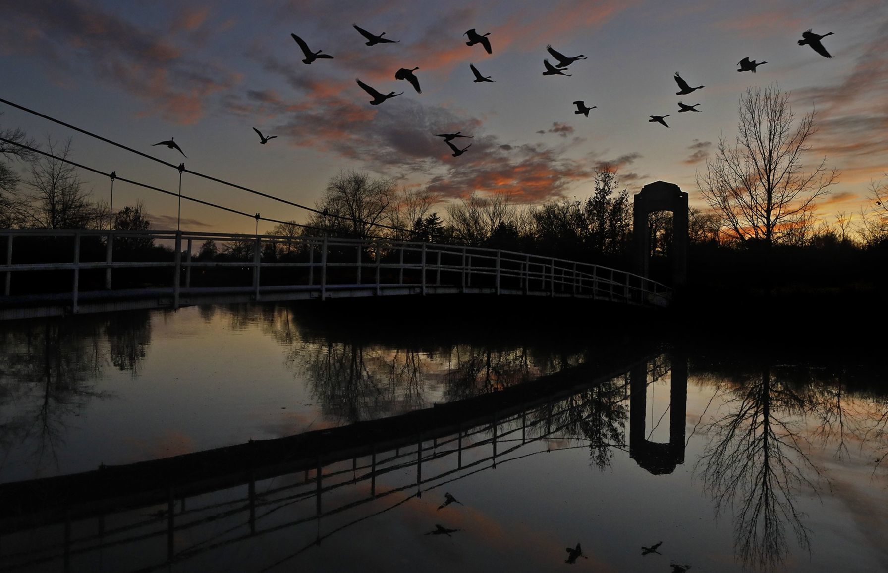 Geese take off at sunset in Forest Park